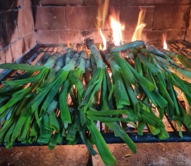 Hortiguela House | Hostal La Moruga