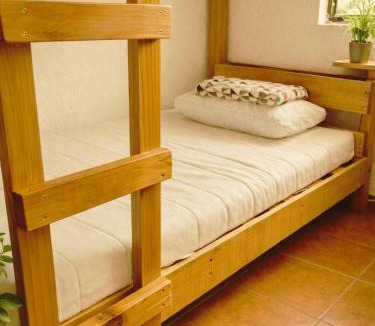 San Andres Hostel | Hostal Tribu Malinalco