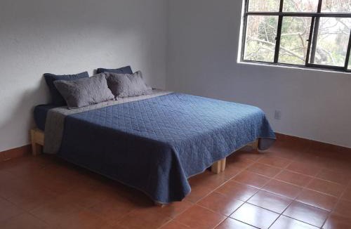 San Andres Hostel | Hostal Tribu Malinalco