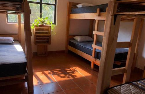 San Andres Hostel | Hostal Tribu Malinalco