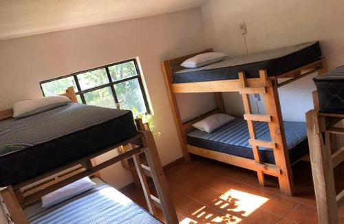 San Andres Hostel | Hostal Tribu Malinalco