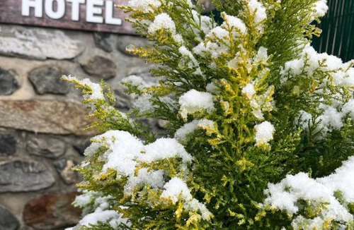 Seez Hotel | Hostel Malgovert