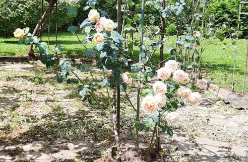 Barbotan-les-Thermes Hotel | Hostellerie de La Roseraie