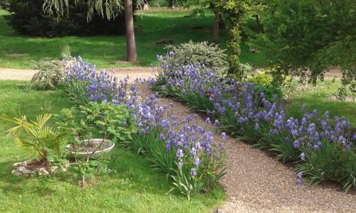 Noyers-sur-Cher Hotel | Hostellerie le Clos du Cher