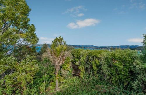 Whitianga House | Hosts on the Coast Puriri Pride