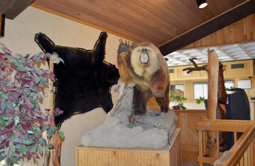 Thermopolis Hotel | Hot Springs Hotel & Spa