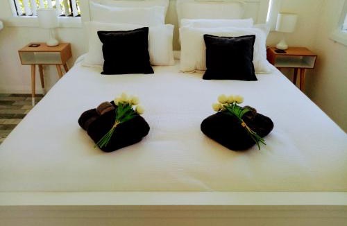 Geraldine Villa | Hot Tub at Pukeko Cottage