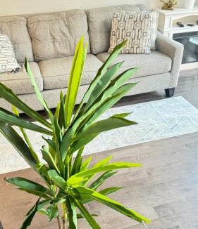 Newbold House | Hot Tub Four Seasons