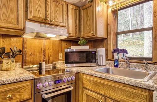 Townsend Cabin | Hot Tub - Gas Fireplace - King Bed - Secluded- Community Pool - Cozy
