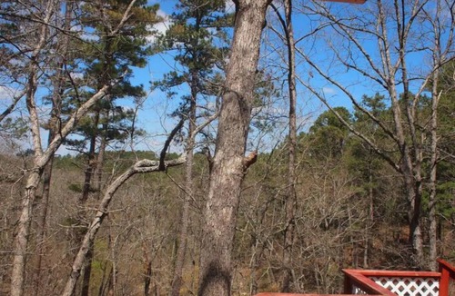 Eureka Springs Cottage | HOT TUB! Large deck, BBQ grill, fire pit & Arkansas Sunsets!
