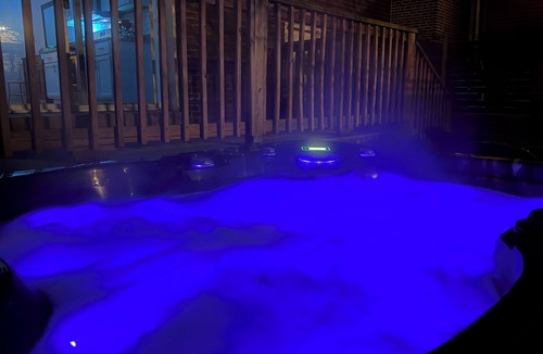 Tower Grove South House | ☆ Hot Tub ☆ New Renovated ☆ Massage Shower ☆Yard☆