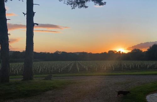 Alton Apartment | Hot Tub Retreat - Otium Wine Estate