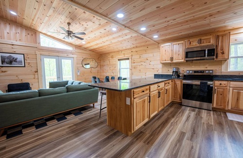 Shenandoah Cabin | Hot Tub, Sauna, Game Room, Fire Pit, EVSE