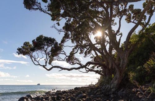 Hot Water Beach Apartment | Hot Water Hideaway