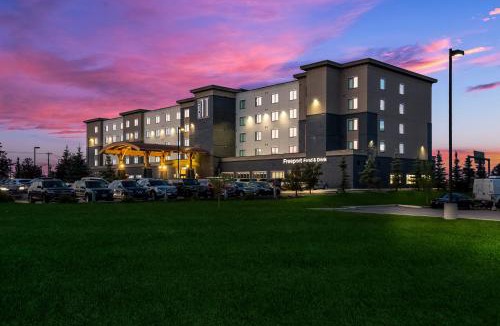 Calgary Hotel | Hotel 11, MOD A Sonesta Collection