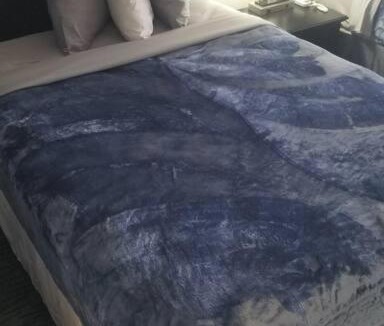 Stillwater Apartment | Hotel 2 Queen Beds Hotel Room 222 Wi-Fi Booking
