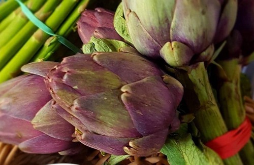 Capvern Hotel | Hotel Abelio