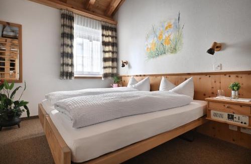 Zernez Hotel | Hotel Acla Filli