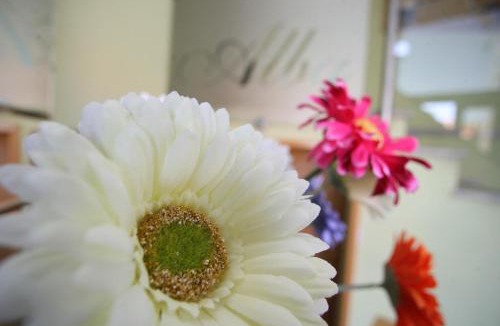 Soria Hotel | Hotel Alba