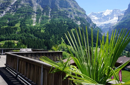 Grindelwald Cabin | Hotel Alpenblick