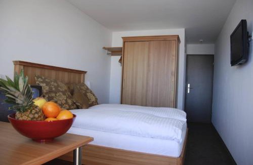 Fiesch House | Hotel Alpina