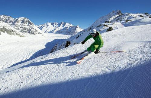 Fiesch House | Hotel Alpina