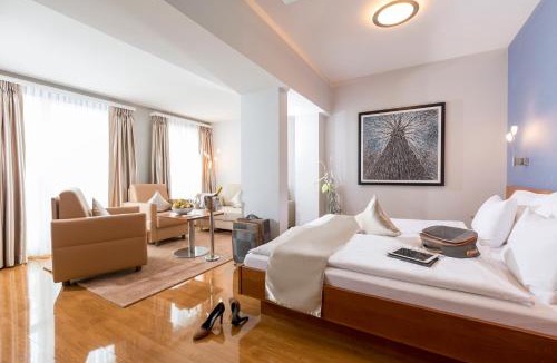Olten Hotel | Hotel Amaris