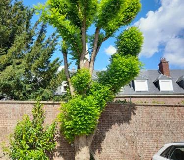 Centre Ville Hotel | Hotel Au Spatial