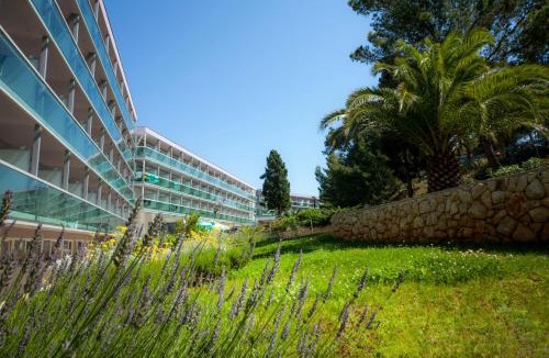 Cove Murtar Hotel | Hotel Aurora