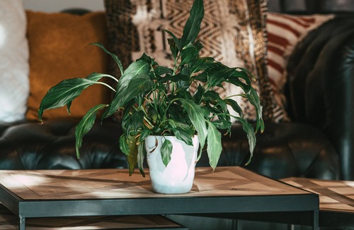 Onet-le-Chateau Hotel | Hotel Aux Berges de l'Aveyron