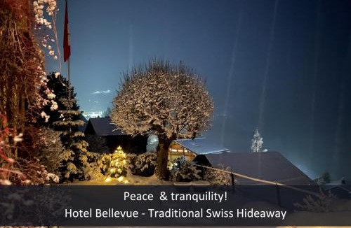 Wengen Hotel | Hotel Bellevue - Traditional Swiss Hideaway