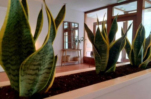Tafalla Hotel | Hotel Beratxa