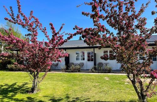 Snogebaek Hotel | Hotel Blomme's Place