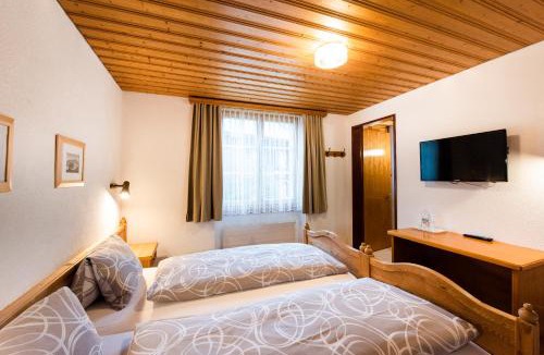 Brienz Hotel | Hotel Brienzerburli
