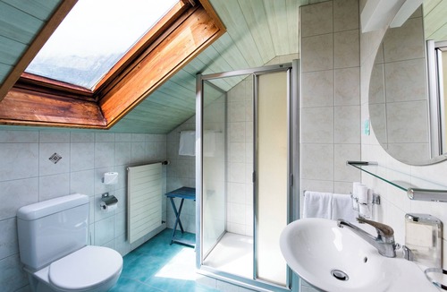 Brienz Hotel | Hotel Brienzerburli