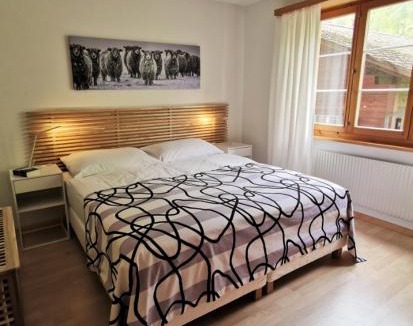 Ringgenberg Hotel | Hotel Brienzersee