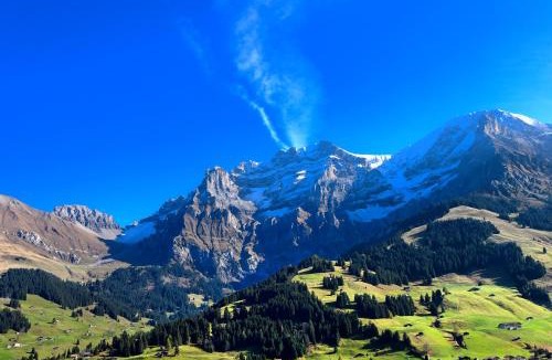 Adelboden Hotel | Hotel Bristol Relais du Silence Superior