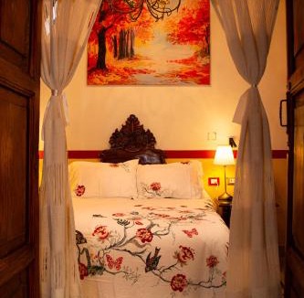 Centro Hotel | HOTEL CASA BAEZ