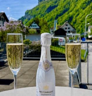 Luchsingen Hotel | Hotel Central - Self Check-in