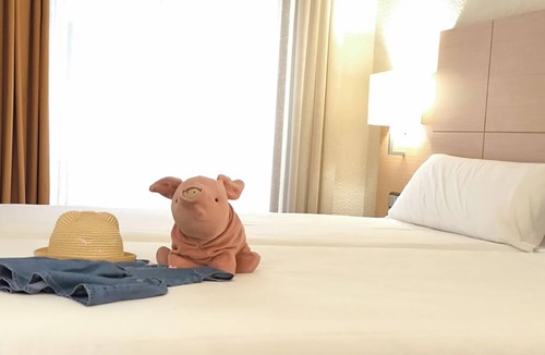 Logrono City Centre Hotel | Hotel Condes de Haro