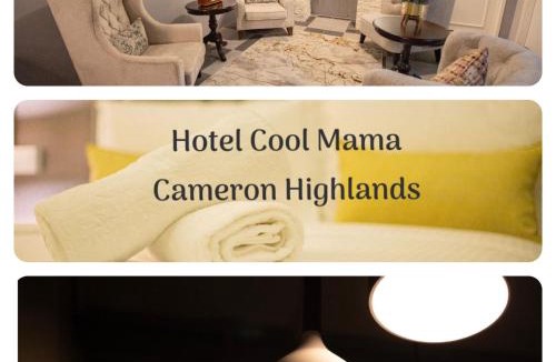 Brinchang Hotel | Hotel COOL MAMA