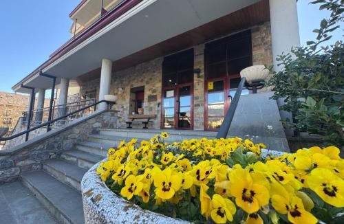 Campo Hotel | Hotel Cotiella