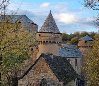 La Celle-sous-Gouzon Apartment | Hotel d Amboise