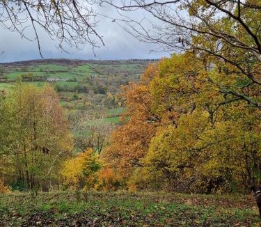 La Celle-sous-Gouzon Apartment | Hotel d Amboise