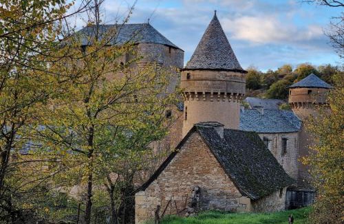 La Celle-sous-Gouzon Apartment | Hotel d Amboise