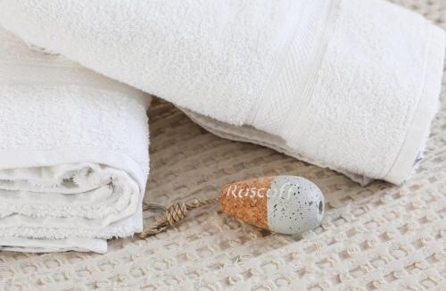 Roscoff Hotel | Hotel D'Angleterre