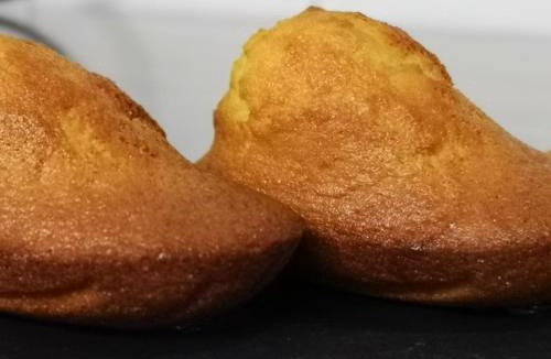 Villandraut Hotel | Hotel de Got