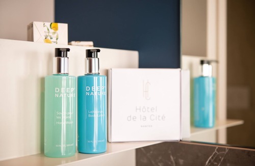 Madeleine-Champ de Mars Hotel | Hotel de la Cité