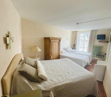 Beaugency Hotel | Hotel de la Sologne