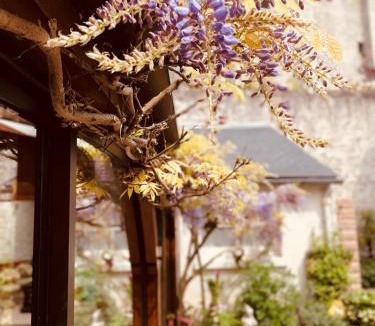 Beaugency Hotel | Hotel de la Sologne